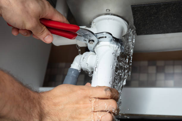 Best Water damage cleanup near me  in Silver Springs, FL