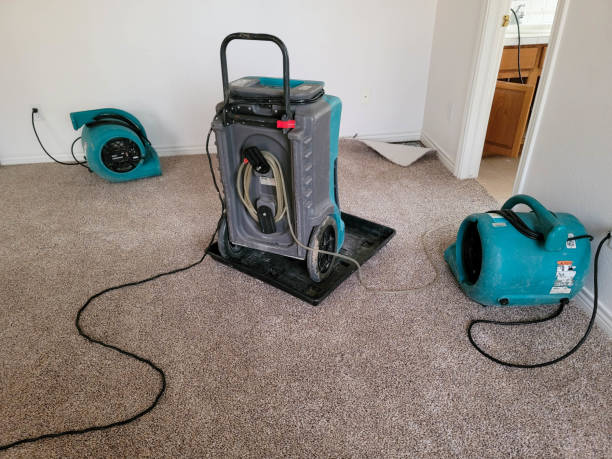 Silver Springs, FL Water damage restoration Pros