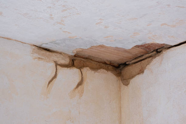 Best Emergency water damage restoration  in Silver Springs, FL