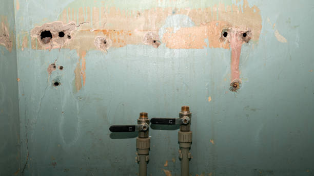 Best 24-hour water damage restoration  in Silver Springs, FL