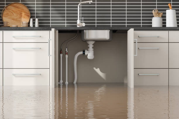 Best Residential water damage restoration  in Silver Springs, FL