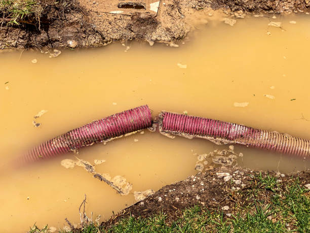 Best Water damage restoration near me  in Silver Springs, FL